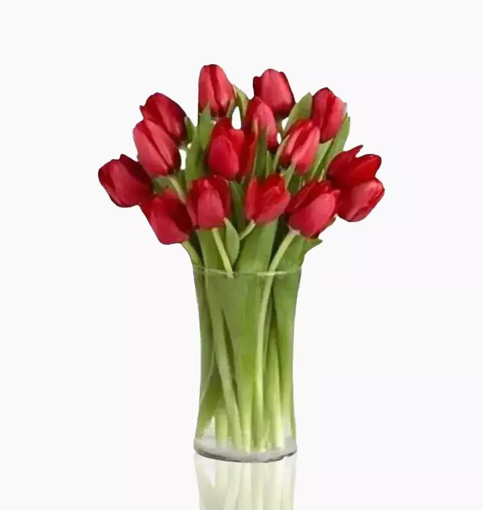 Tulips Perfection