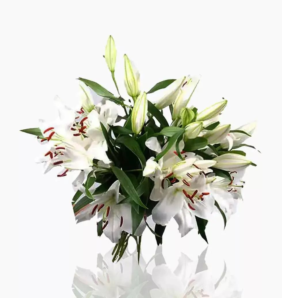 Lilies In White