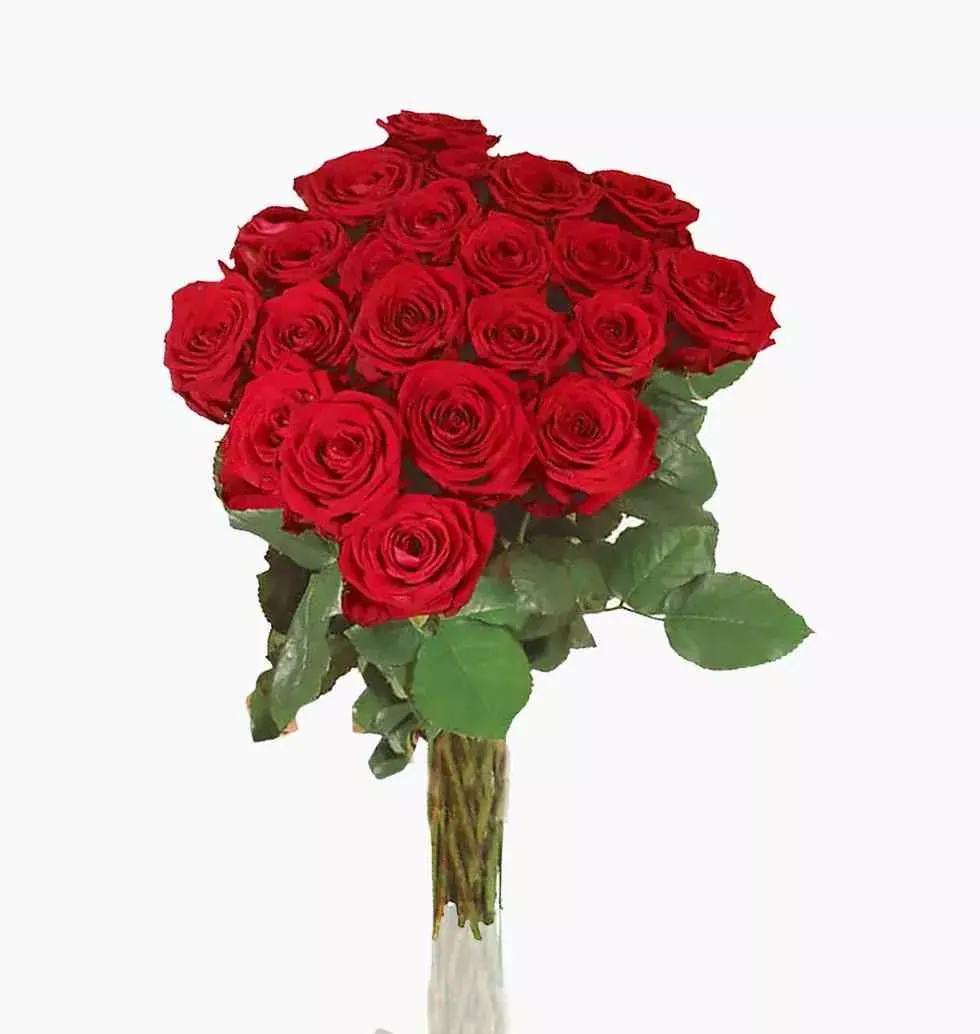 24 Red Roses Bouquet