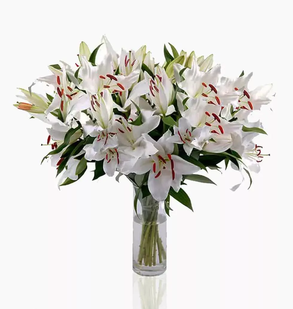 White Lily, Large