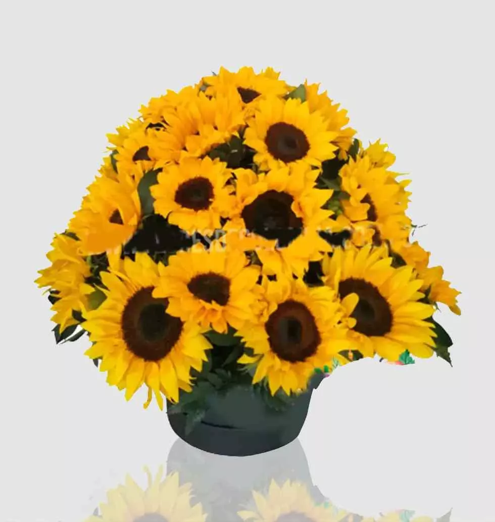 Gift Box For Sunflowers