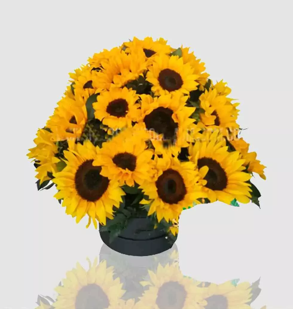 Gift Box For Sunflowers