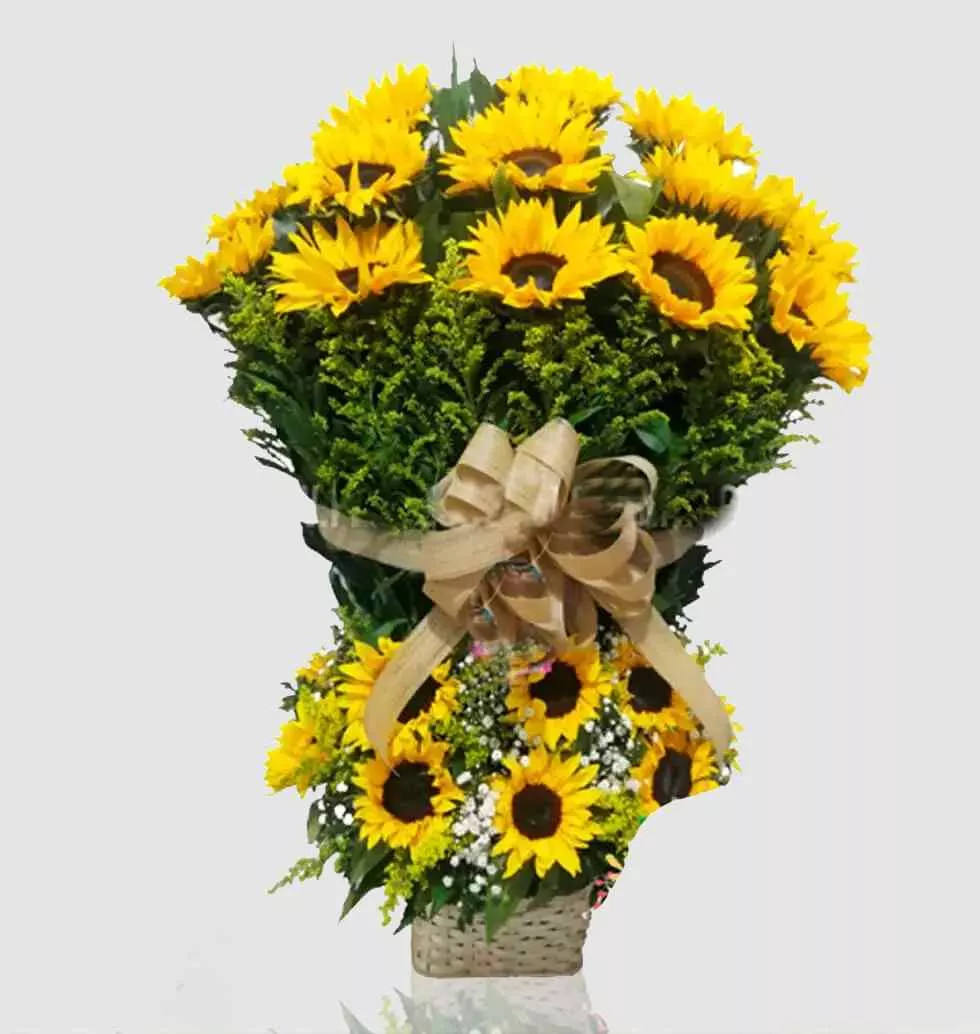 Cantillana Sunflower