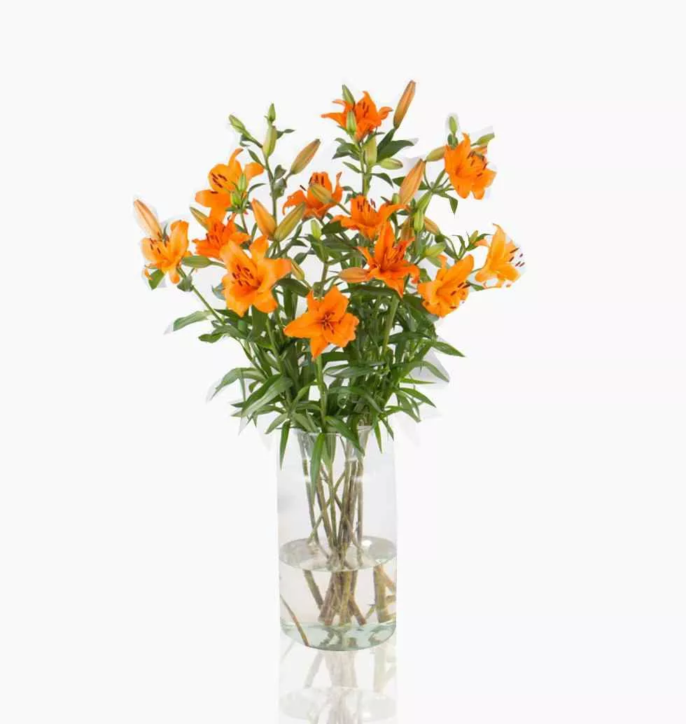 Orange Lilies: Nature's Vibrant Charm