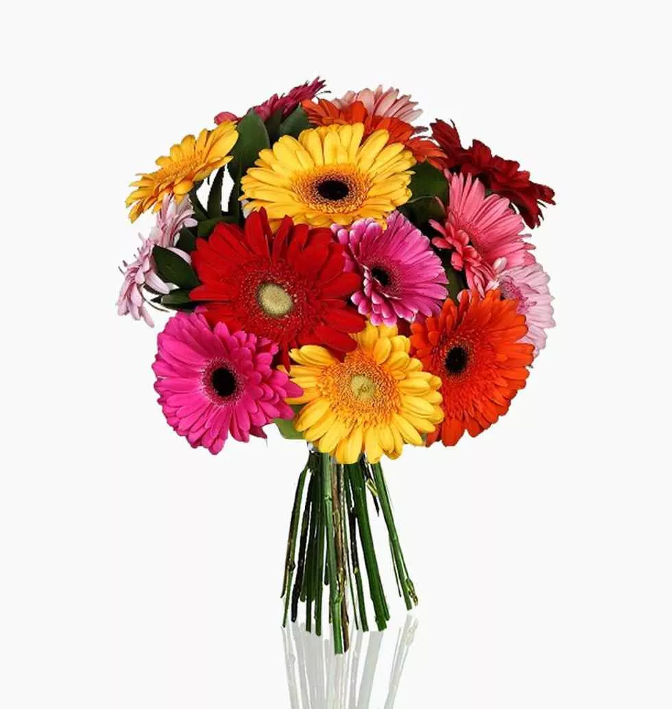 Colorful Gerbera Blossom Collection