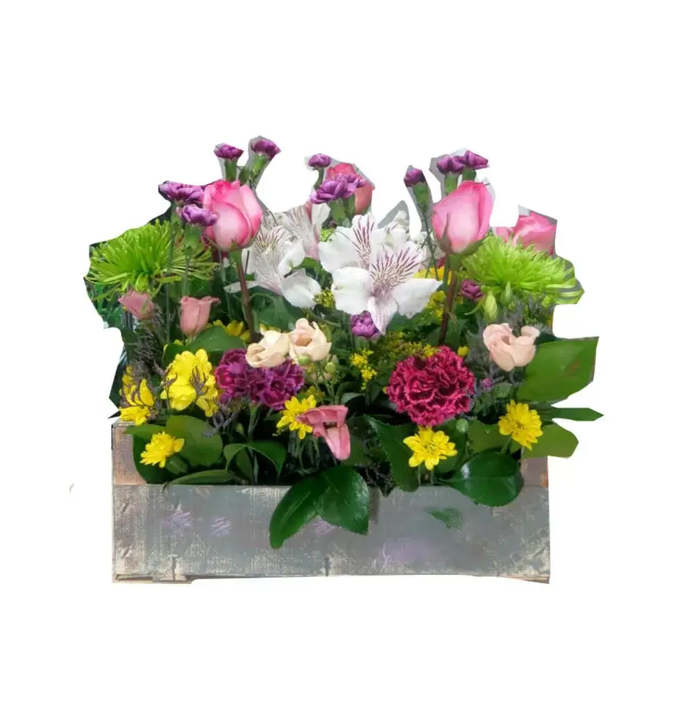 Flowers In Storage Container