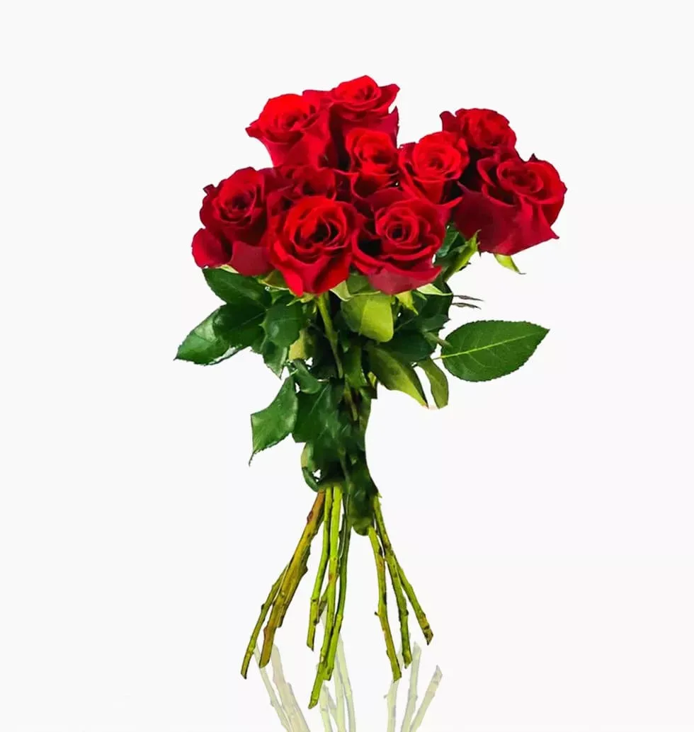 Elegant 10 Red Rose Bouquet