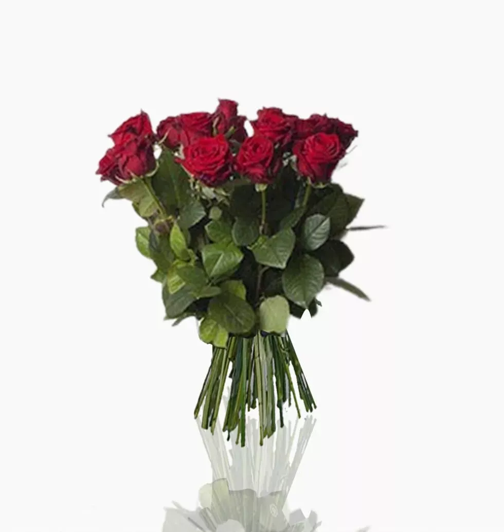 12 Premium Ecuador Red Roses