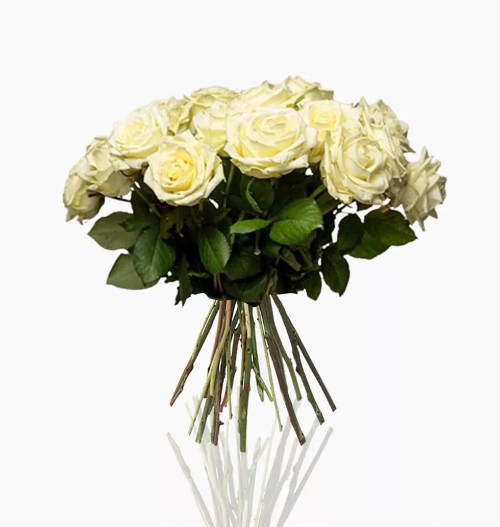 Pure Elegance: 24 White Roses