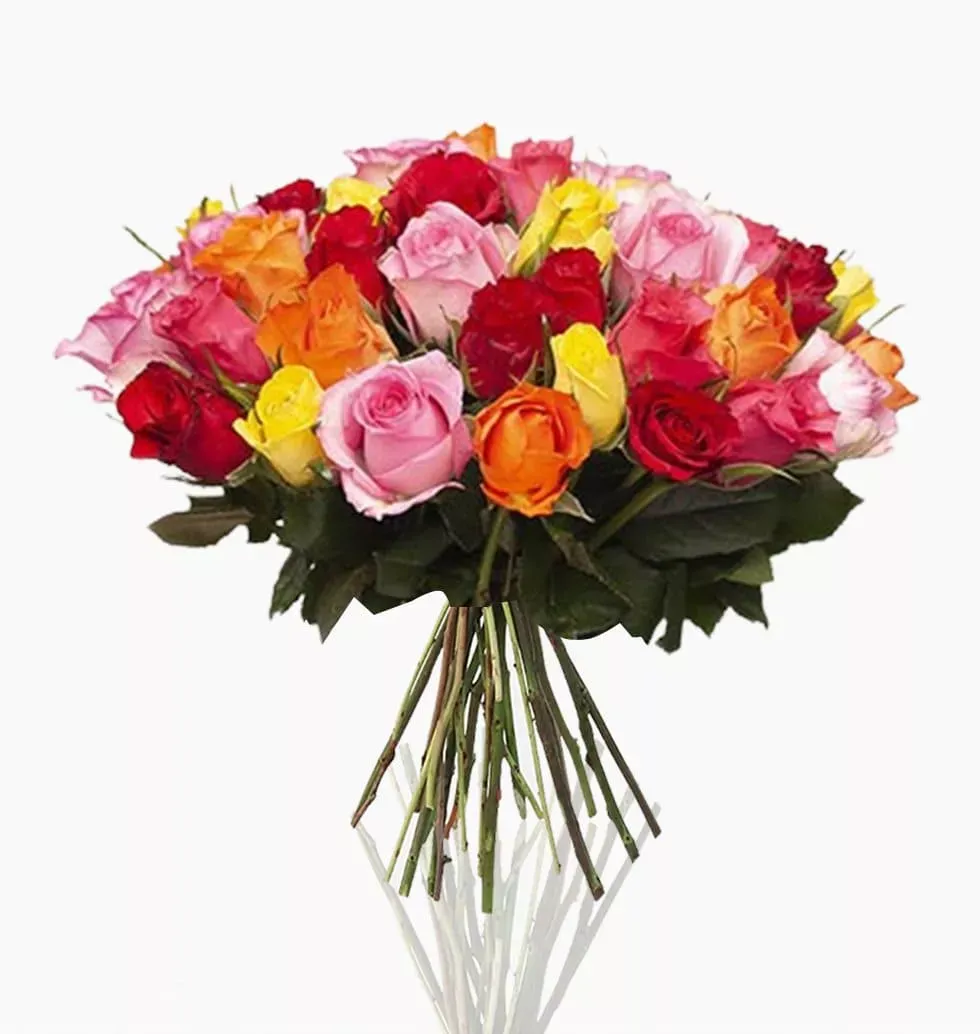 50 Long-Lasting Multi-Colored Roses