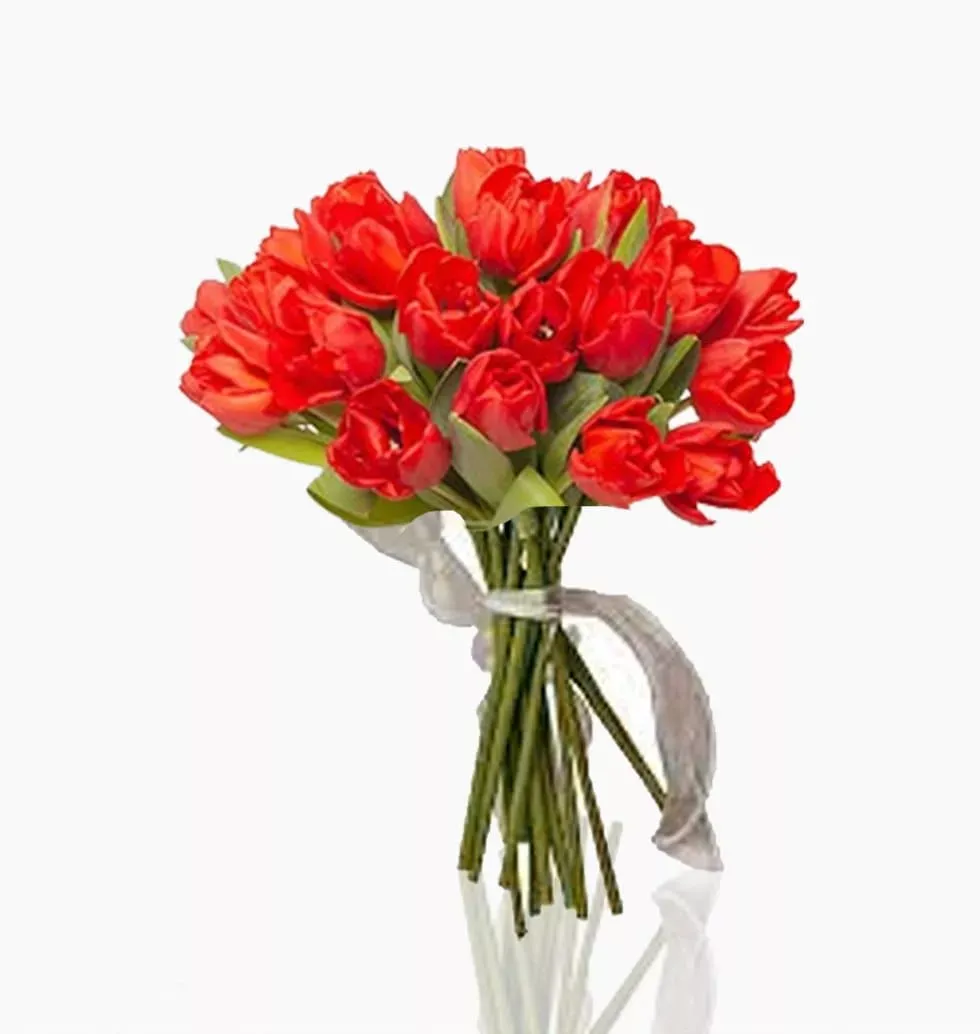 Passionate Embrace: 20 Scarlet Tulips