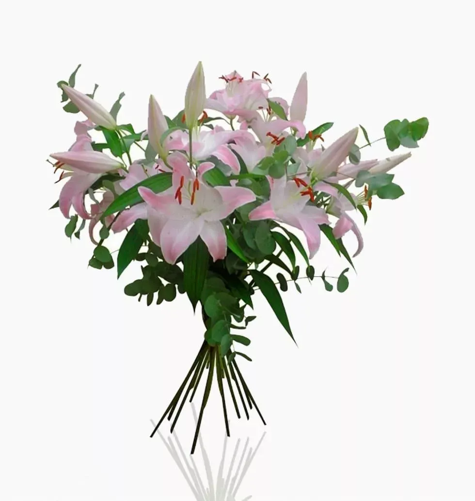 10 Pale Pink Lily Harmony