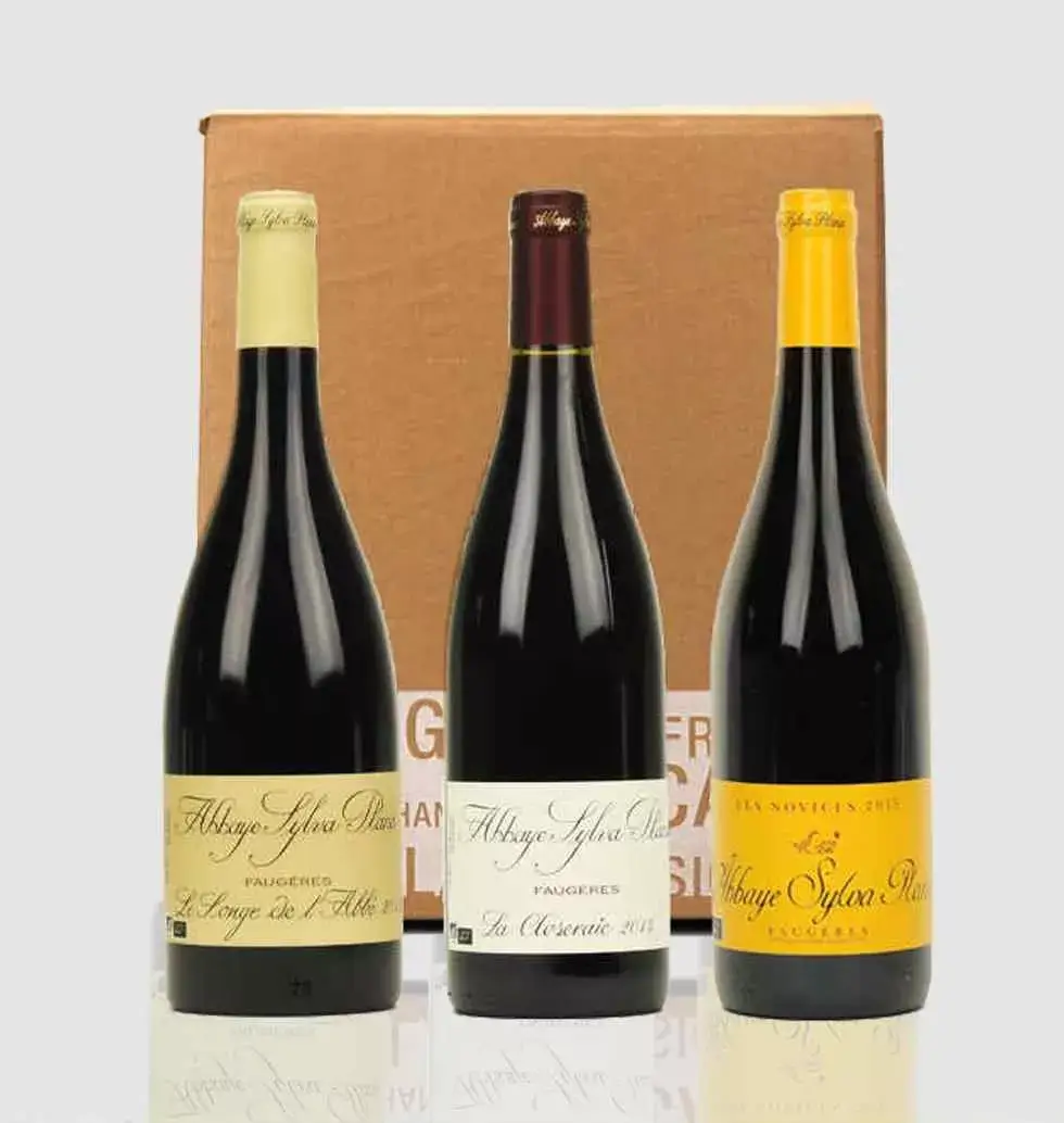 Enchanting Reds: A Trio of Exceptional Wines