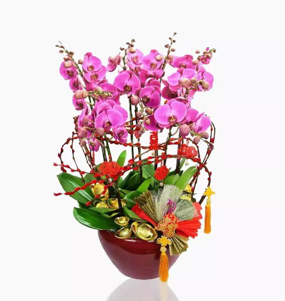 9 Stems Butterfly Orchid