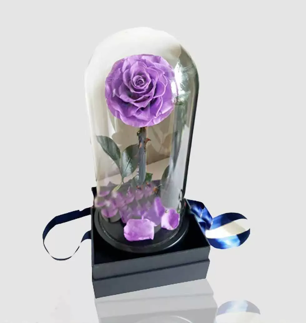 Premium Purple Rose Everlasting