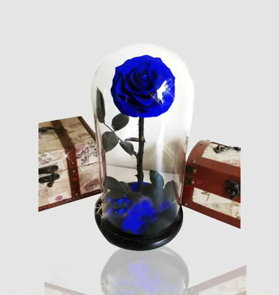 Premium Everlasting Blue Rose