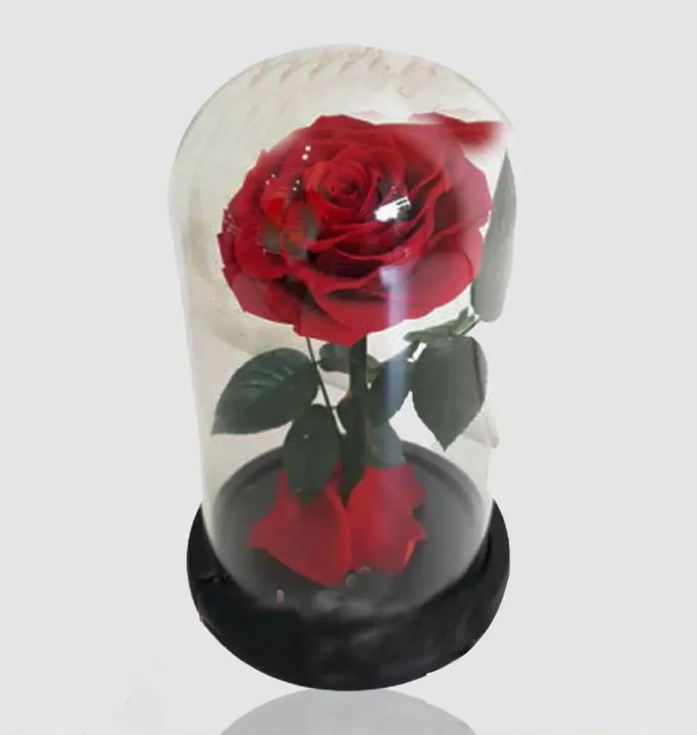 Premium Everlasting Red Rose