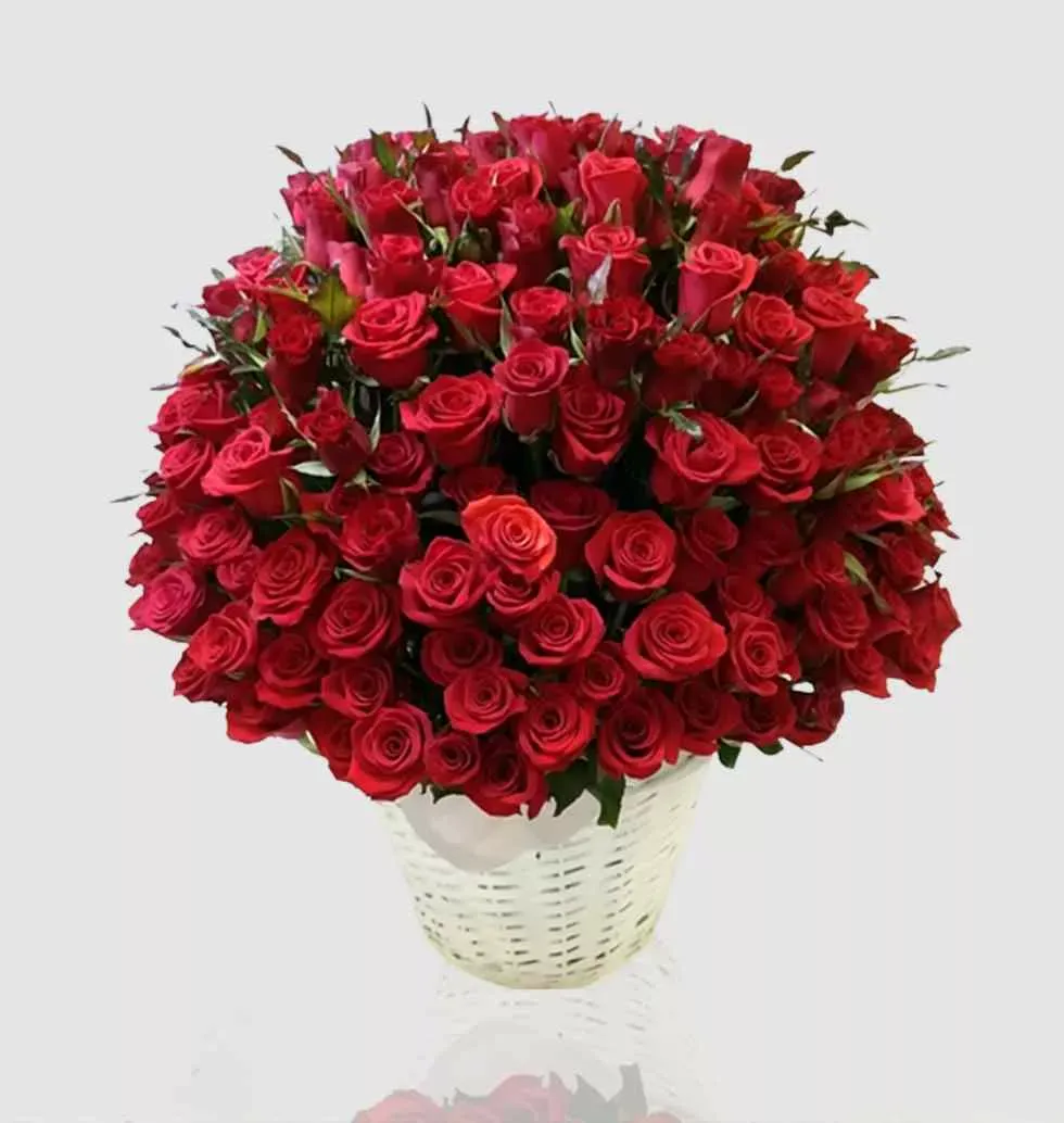 Package Of Red Roses