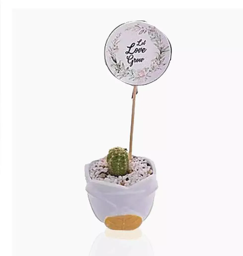 Cactus Plant Let Love Grow