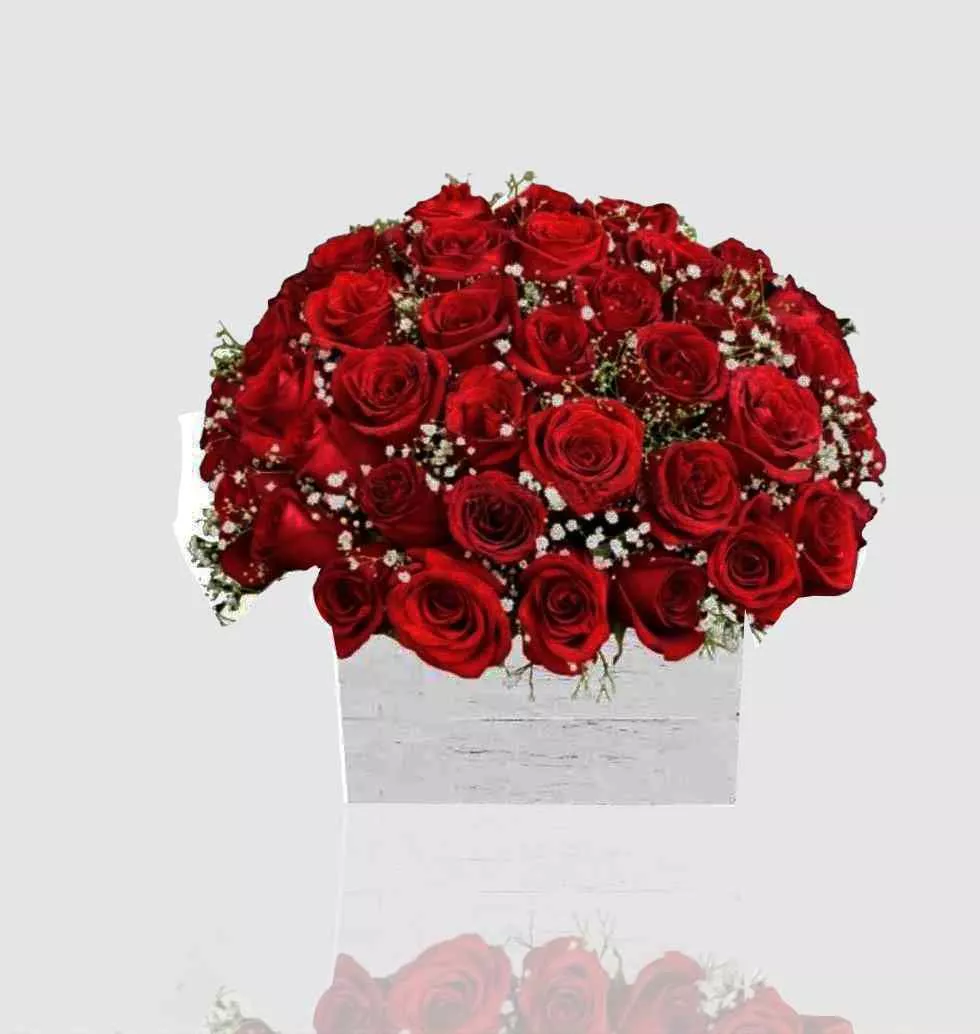 Special 50 Red Roses Arrangement