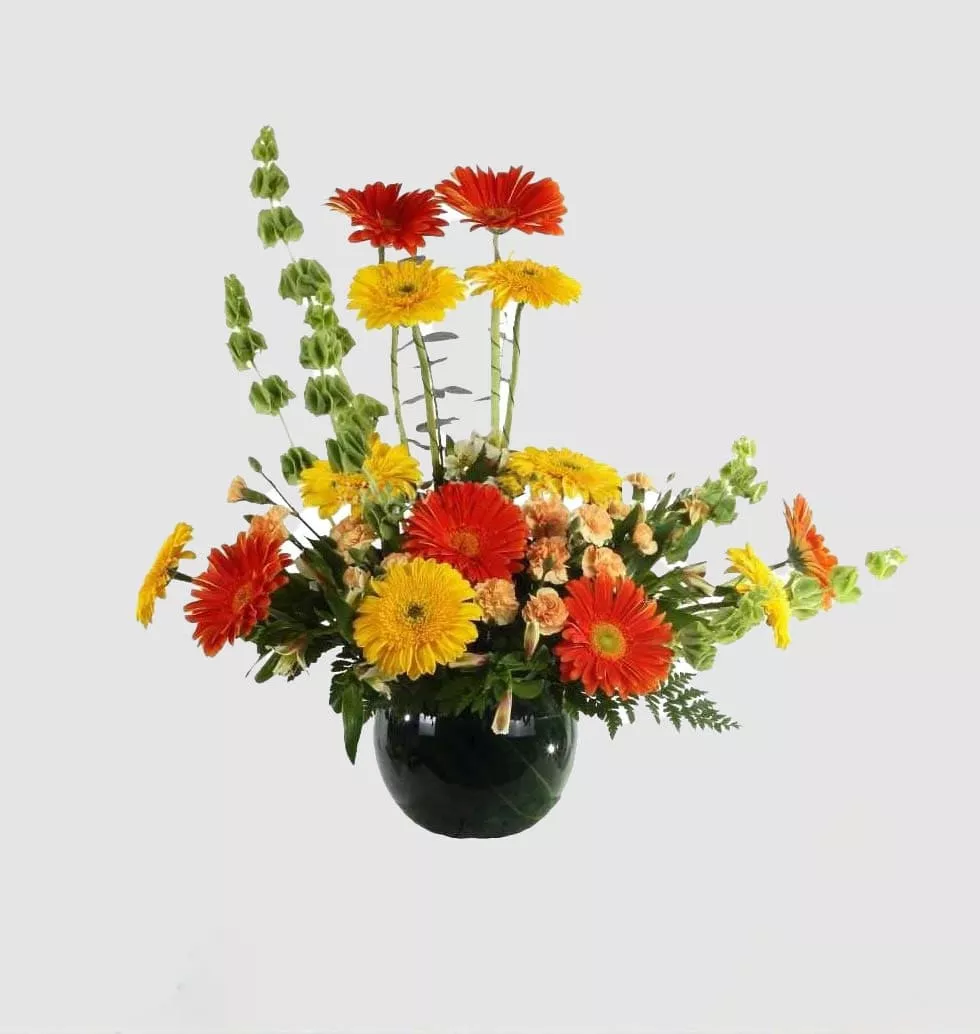 12 Colorful Gerbara In A Vase