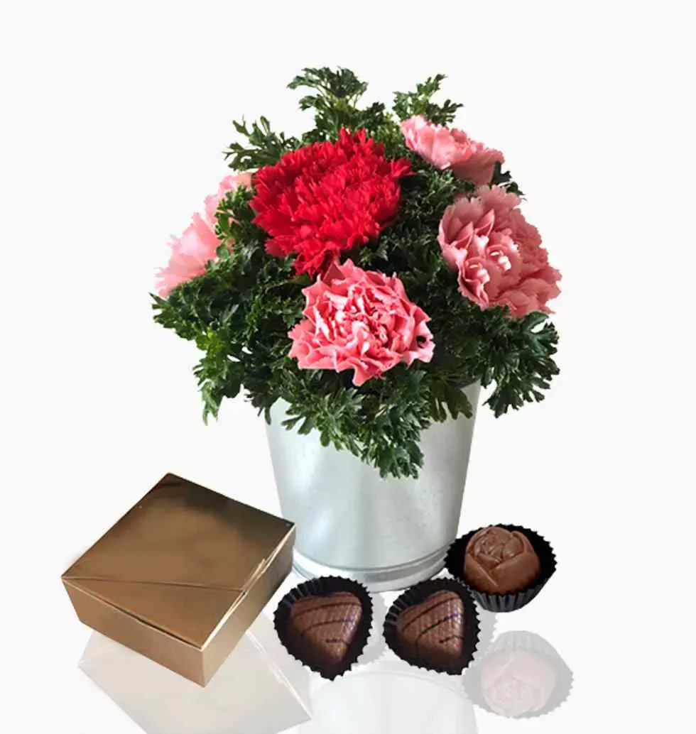 Sweet Carnations with Chocolates