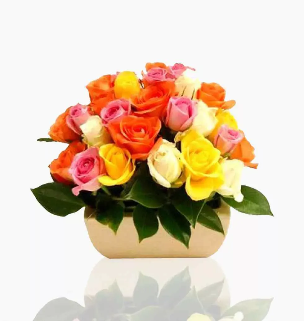 Dazzling Multicolored Roses