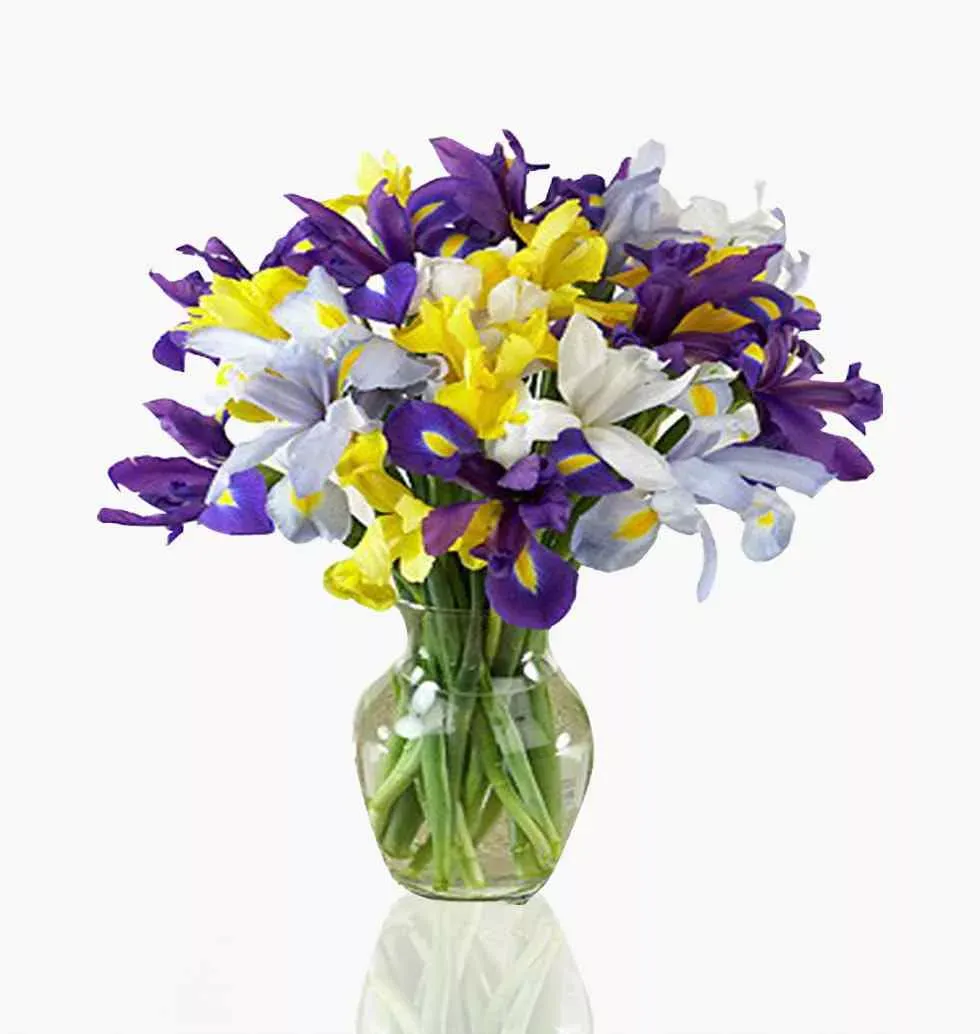Gorgeous Iris Flower Bouquet