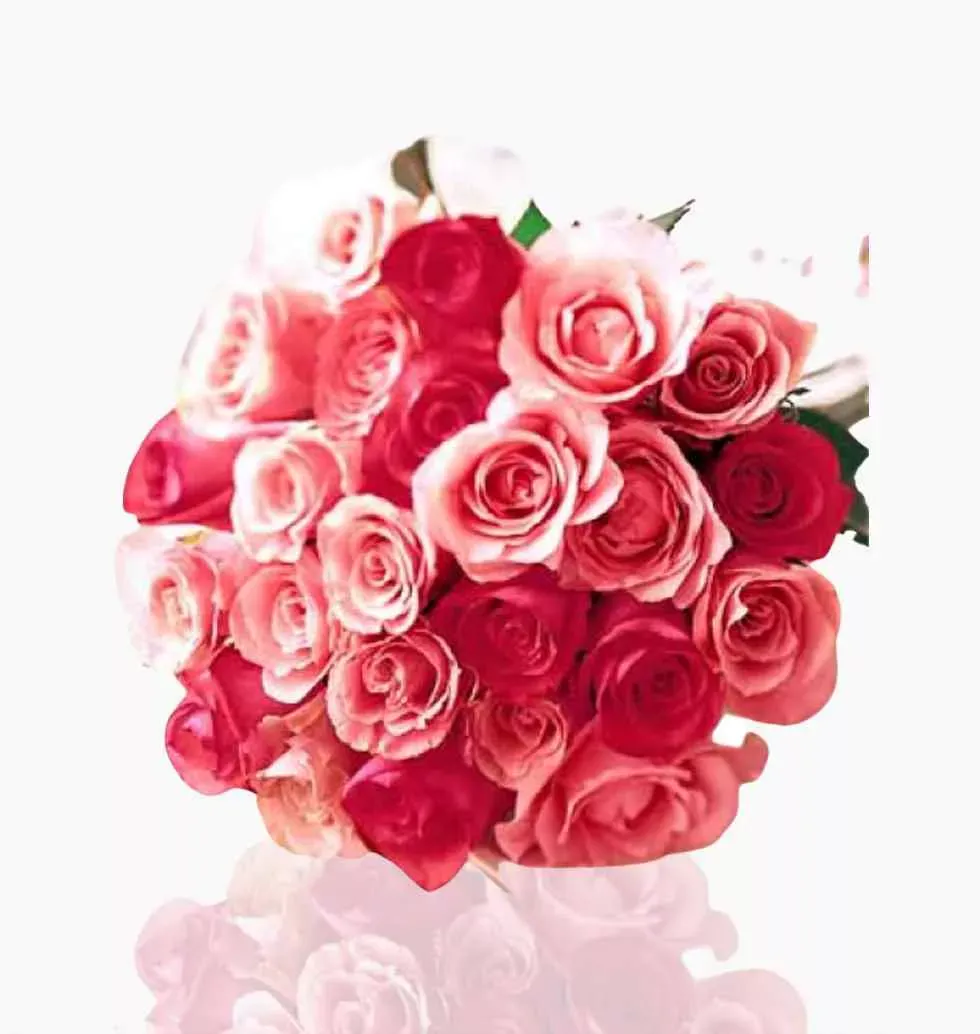 Mixed Red & Pink Roses