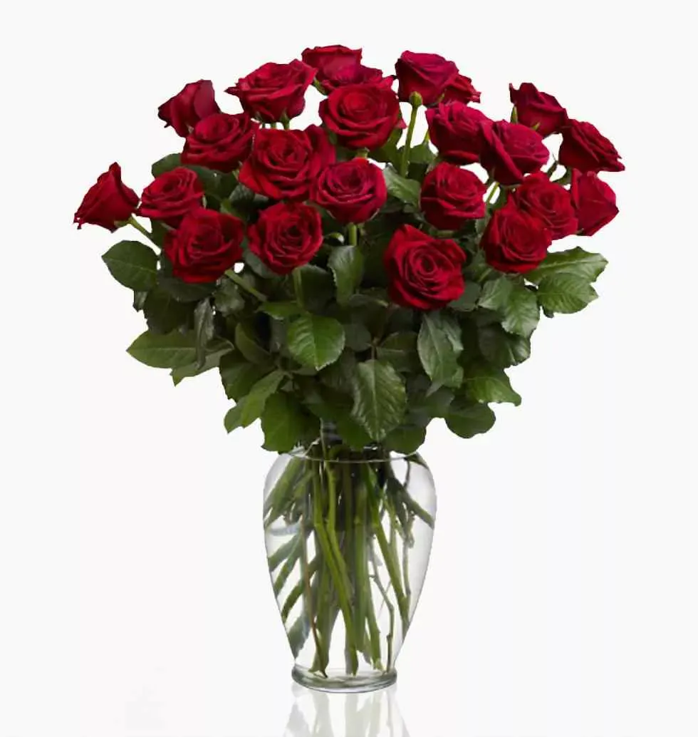 Plant Pot Red Roses
