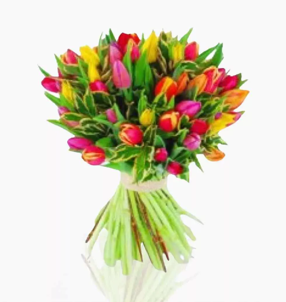 Bouquet Of Assorted Tulips