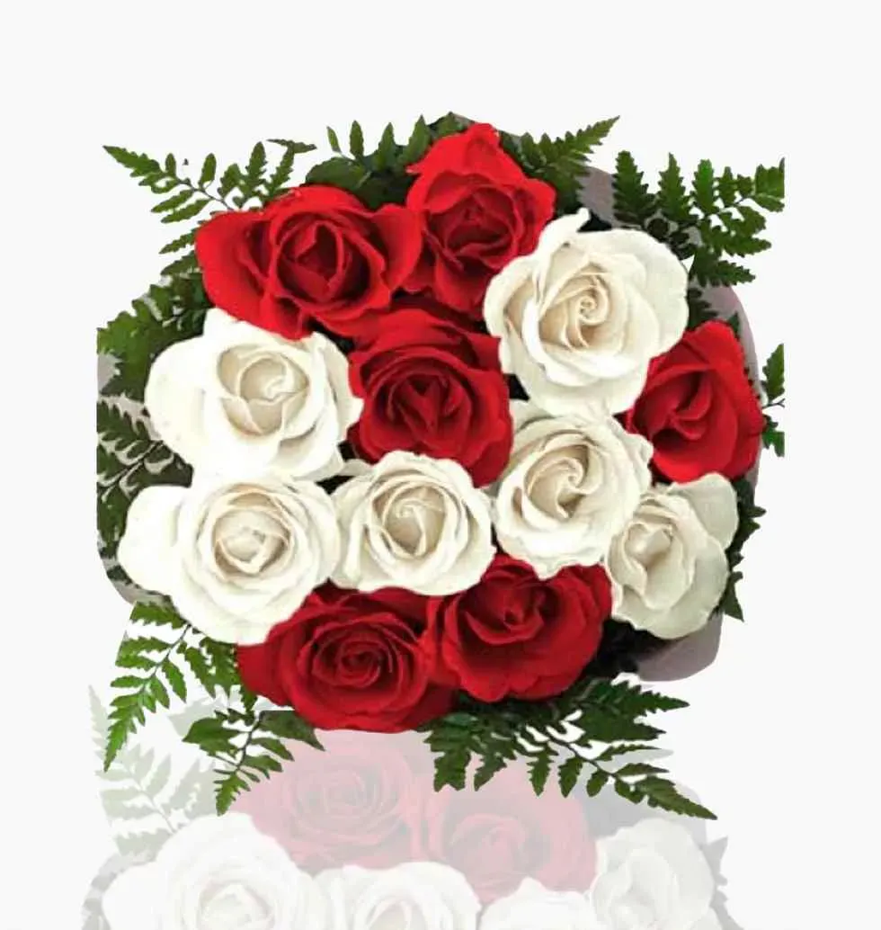 Red & White Combination Roses