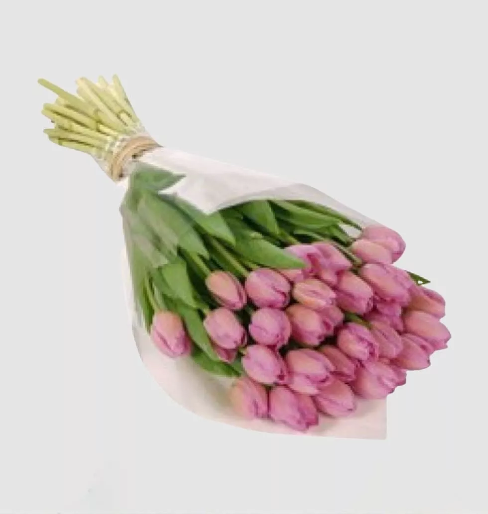 Variety Of Pink Tulips