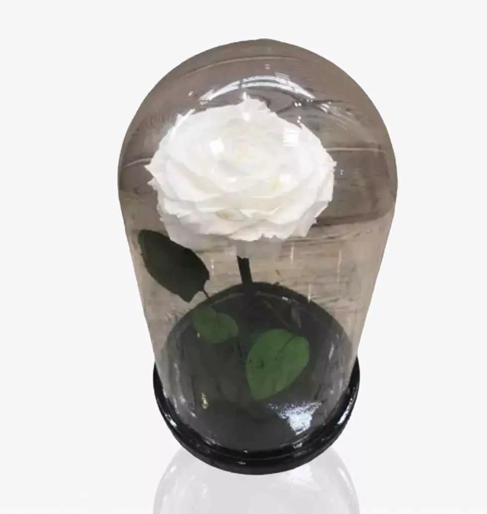 Flask Of Roses (White)