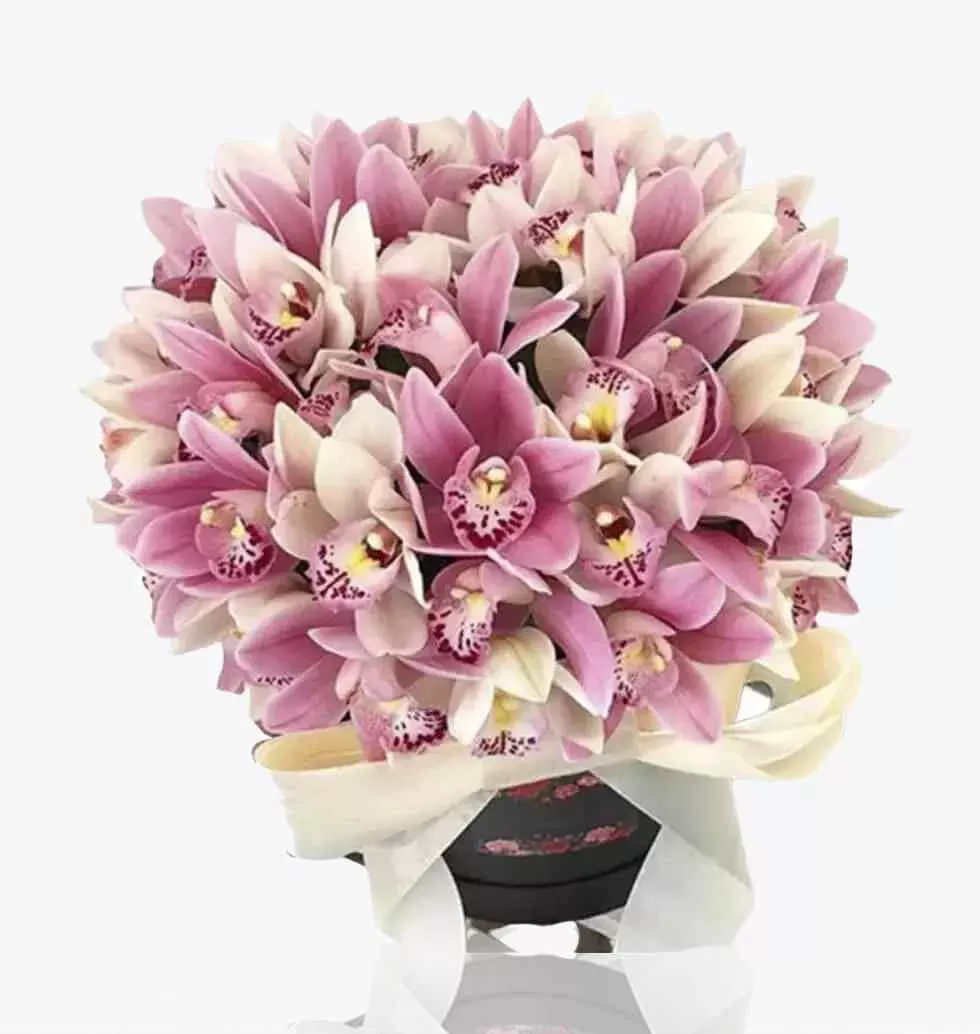 Bouquet Of 51 Orchids