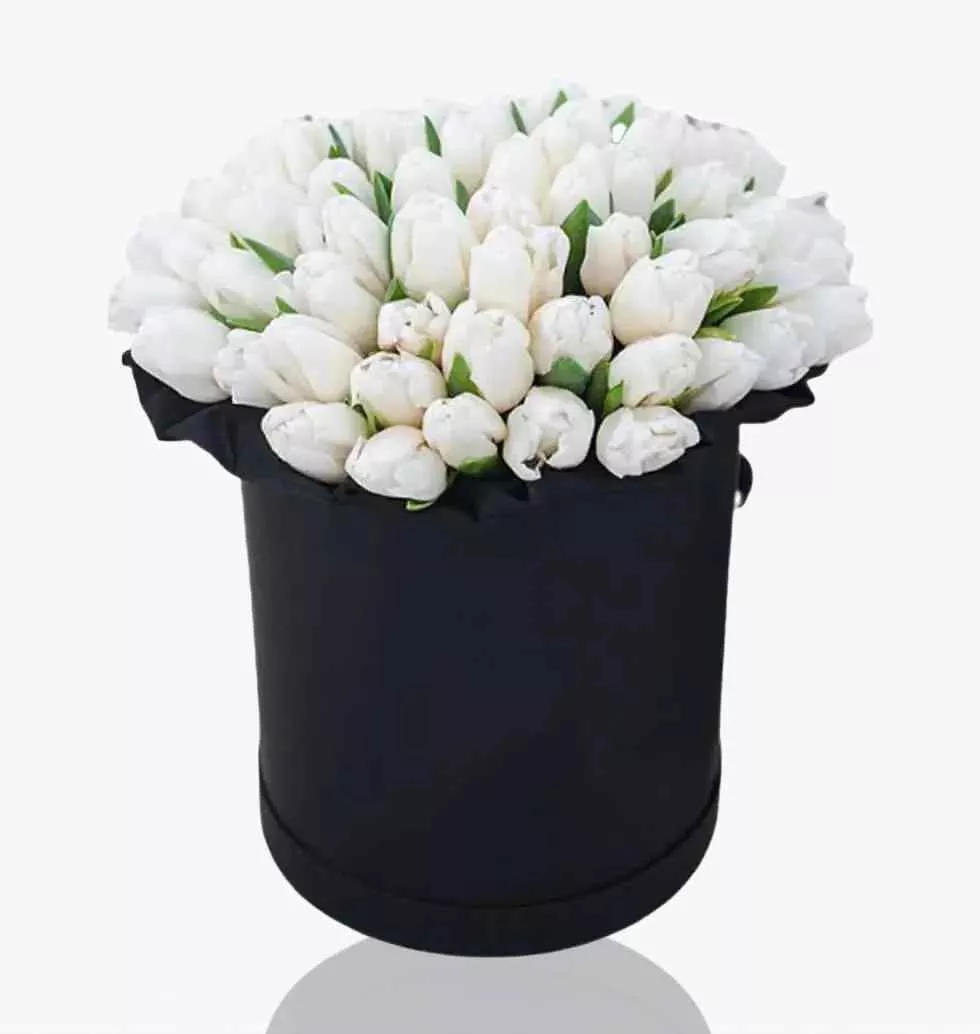 Black Box White Tulips.