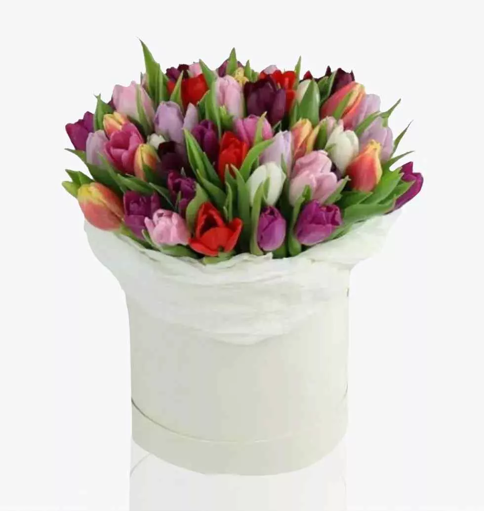 Varieties Of Tulips.