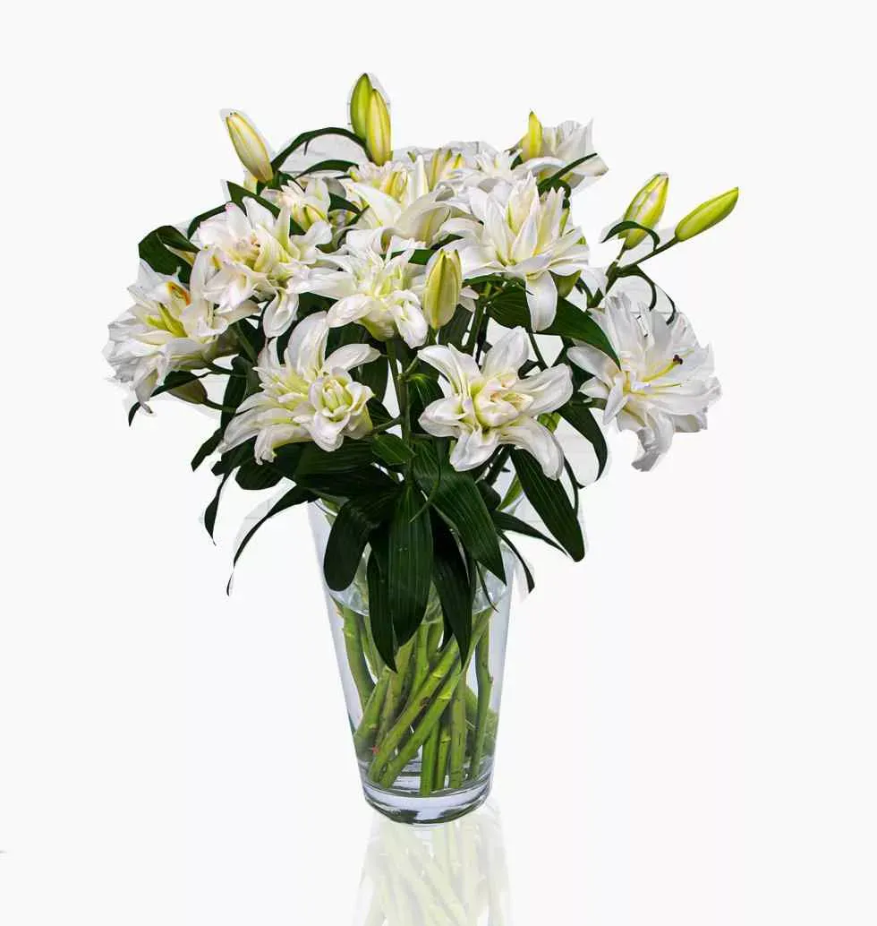 Lilies With Two Blooms