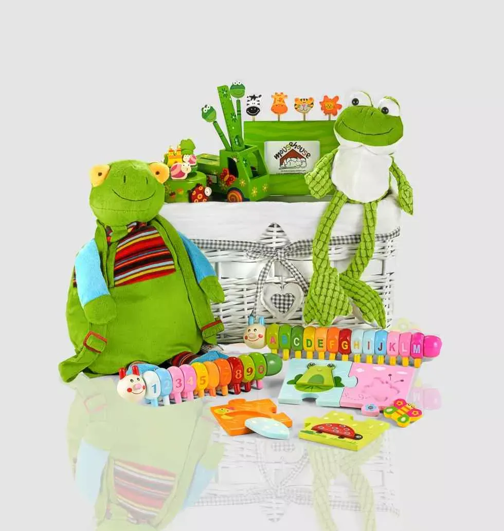 Frog Shaped Toy Bag