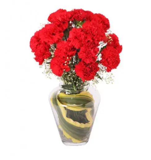 Carnations And Vase