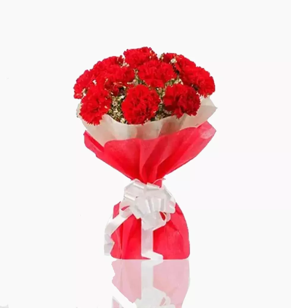 Jovial Red Carnations