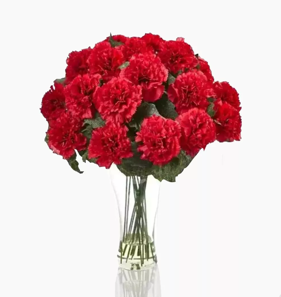 Vivid Carnations