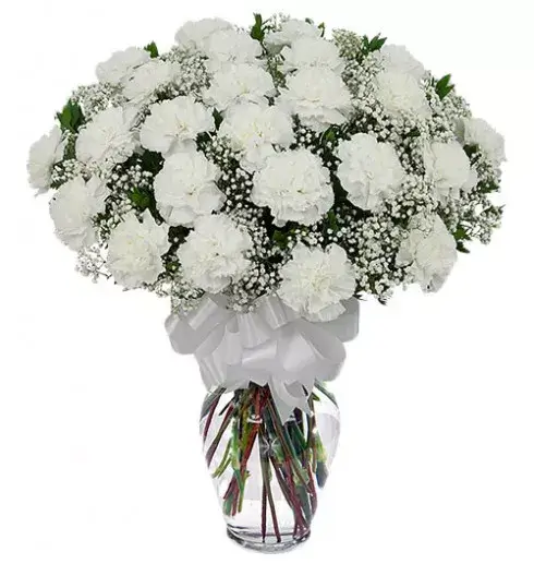 Elegant White Carnation