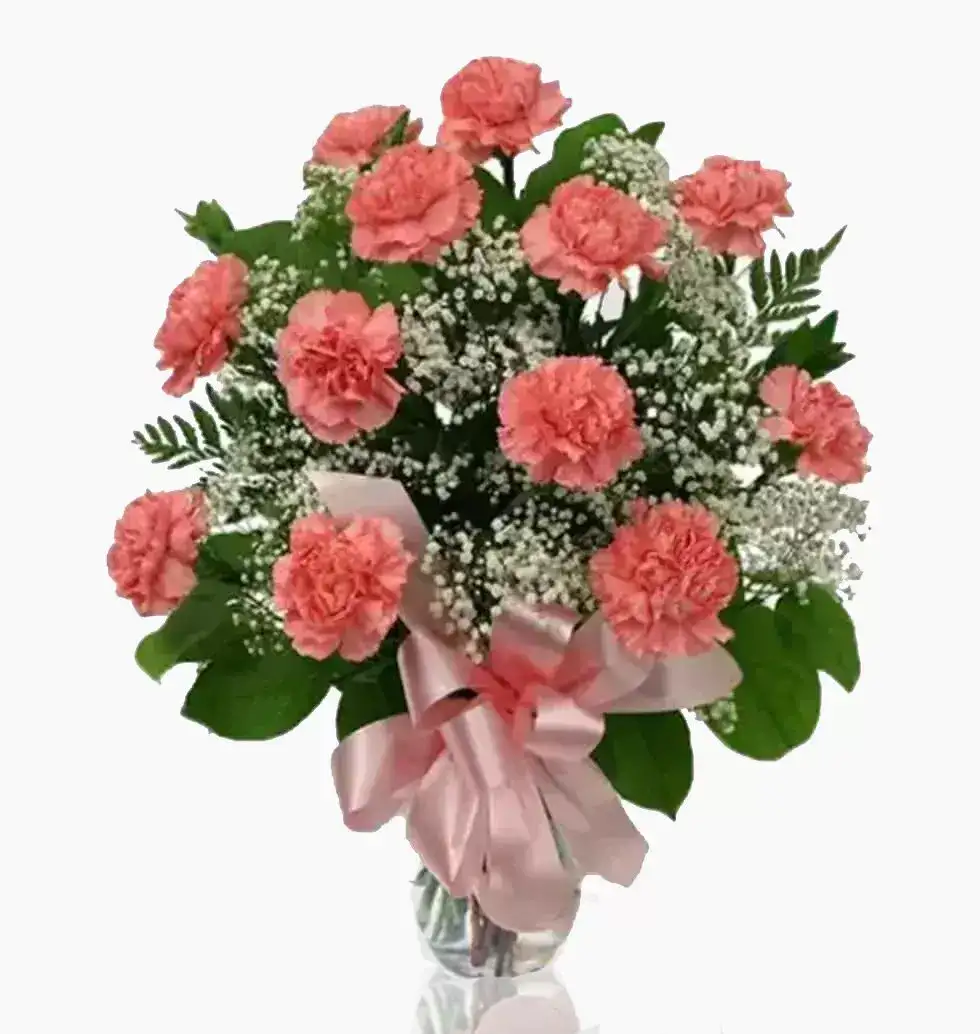 Pink Carnation Surprise