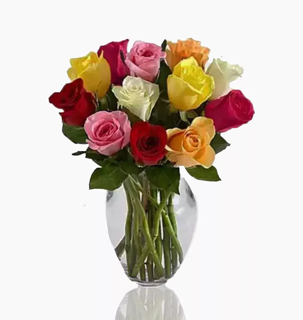 Gorgeous Mixed Color Roses