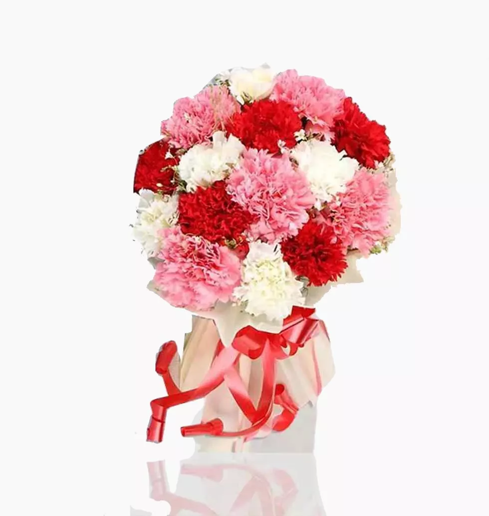 Contentment Filled Carnations