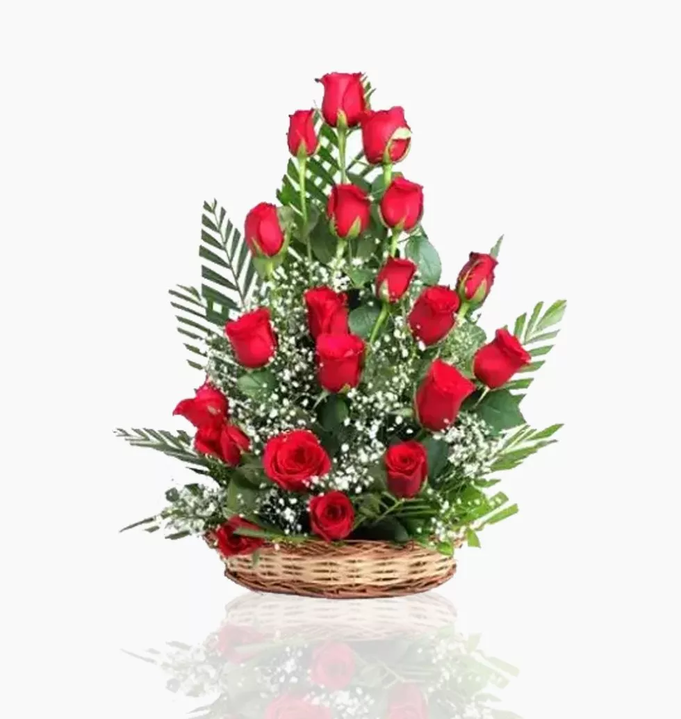 Alluring Red Roses
