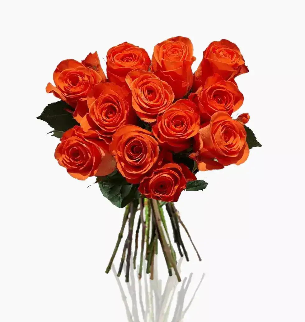 Radiant Orange Roses